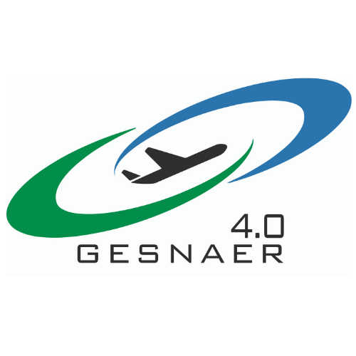 GESNAER CONSULTING